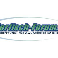 Zierfisch-forum-de-nicht-mehr-aktiv