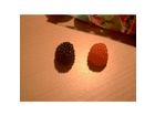 Die-zwei-verschiedenen-berries