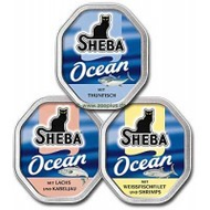 Sheba-ocean