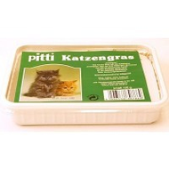 Pitti-katzengras