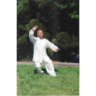 Tai-chi-chuan