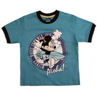 Disney-jungen-shirt-blau