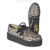 Anarchic-creepers-leopard