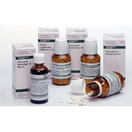 Dhu-caulophyllum-pentarkan-tabletten-200-st