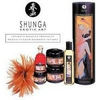 Shunga-carnal-pleasure-collection