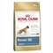 Royal-canin-boxer-26-adult