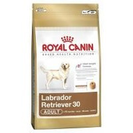 Royal-canin-labrador-retriever-30-adult