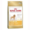 Royal-canin-poodle-30-adult