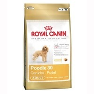 Royal-canin-poodle-30-adult