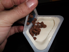 Penny-elite-joghurt-crisp-bananenjoghurt-schokoflakes-bild-4