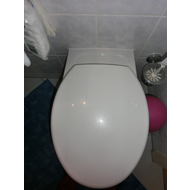 Mein-wand-wc