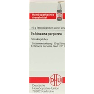 Dhu-echinacea-purpurea-d2-globuli