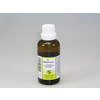 Nestmann-pharma-belladonna-f-komplex-21-dilution