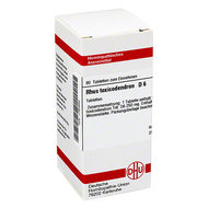Dhu-rhus-toxicodendron-d6-tabletten