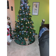 Mein-weihnachtsbaum-mit-lilly