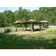 Safari-freizeitpark-schloss-holte-stuckenbrock