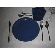 Rosenthal-studioline-besteck-taille-mit-meinem-blauen-geschirr