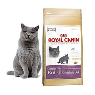 Royal-canin-british-shorthair-34-4kg