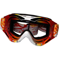 Alpina-sports-tyrox-rennskibrille-farbe-499-rocca-design-scheibe-singleflex-klar