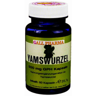 Hecht-pharma-yamswurzel-500-mg-gph-kapseln-60-stueck