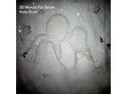 50-words-for-snow-kate-bush