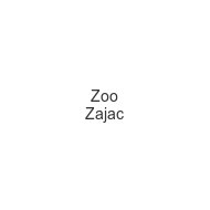 zoo-zajac